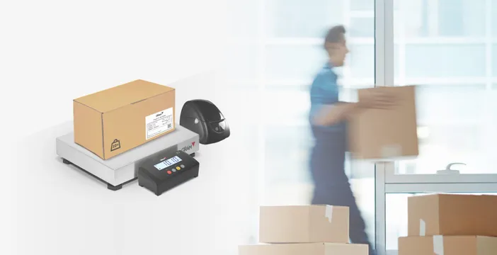 Germany modernised its Postal Act for the first time since 1997, with new rules for parcel labelling, delivery times, and worker safety. Here's what it means for B2B shippers.