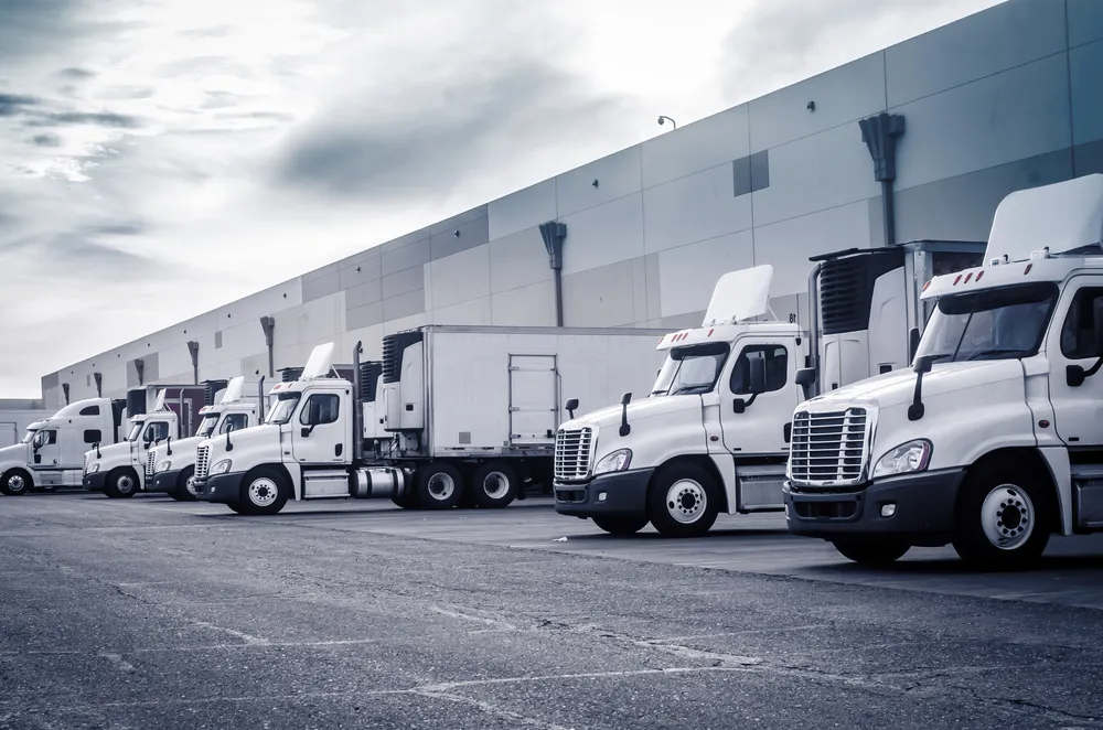 Why Multi-Carrier Strategies Aren't for Everyone